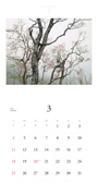 2012calendar-2.jpg