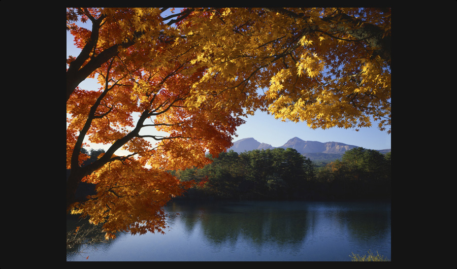 五色沼の紅葉