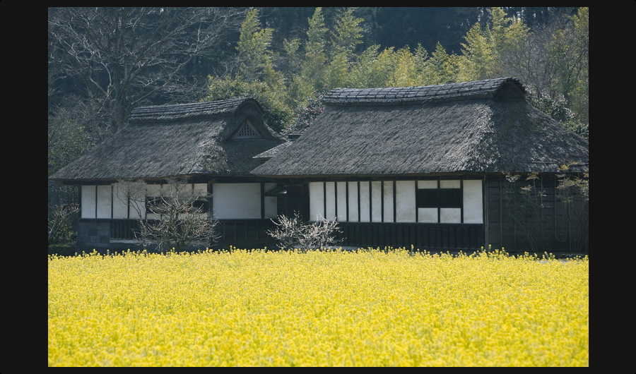 井出家